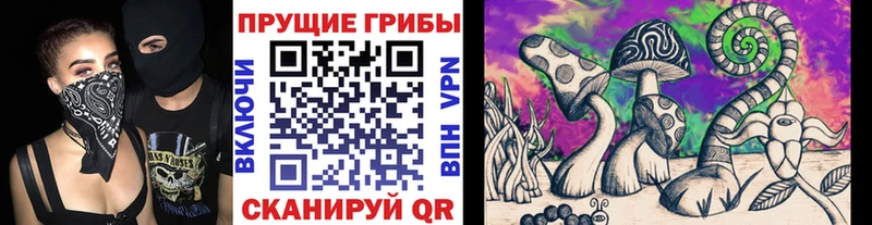 Псилоцибиновые грибы ЛСД KRAKEN сайт Обнинск цены
